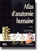 Atlas d'anatomie humaine - Franck H.NETTER - MASSON - 