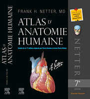 Atlas d'anatomie humaine - Frank Netter - Elsevier Masson - 