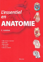 L'essentiel en anatomie - Pierre KAMINA