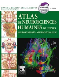 Atlas de neurosciences humaines de Netter - David FELTEN