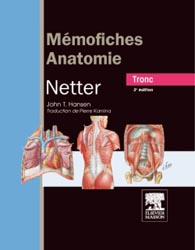 Mémofiches anatomie Netter Tronc - John T.HANSEN - ELSEVIER / MASSON - 