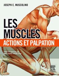 Les Muscles - Joseph E. MUSCOLINO, Annie GOURIET, Michel PILLU