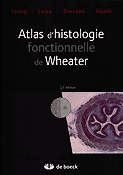 Atlas d'histologie fonctionnelle de Wheater - YOUNG, LOWE, STEVENS, HEATH - DE BOECK - 