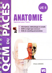 Anatomie - Chloé LEMAIRE