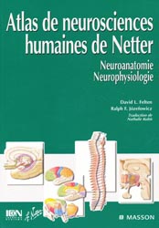 Atlas de neurosciences humaines de Netter - David L.FELTEN, Ralph F.JOZEFOWICZ - MASSON - 