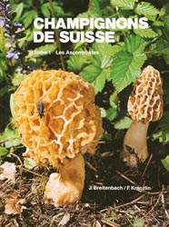 Champignons de Suisse Tome 1 Les ascomyctes - J BREITENBACH , F KRNZLIN